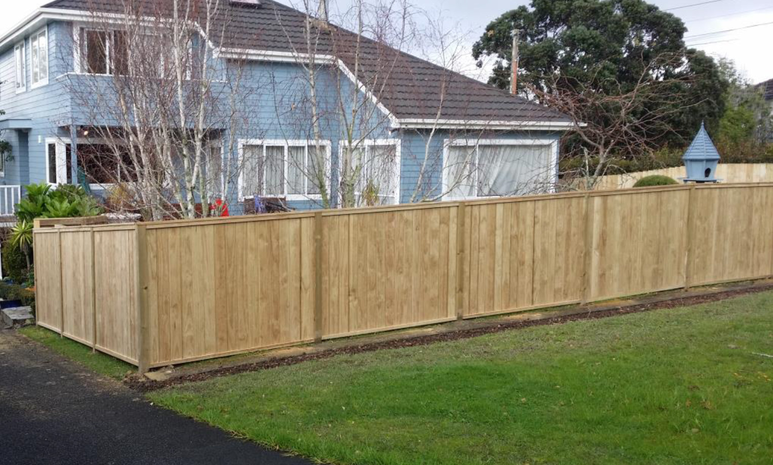 shiplap fencing northumberland no2 clears shiplap fence auckland fences shiplap fencing northumberland no2 clears shiplap fence auckland fences