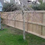 Northumberland fence back 1 - dressed Northumberland fence back 1 - dressed